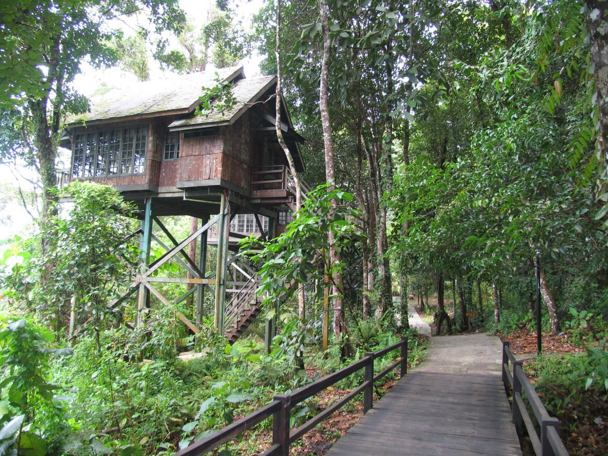 Permai Rainforest Resort Santubong Exteriör bild